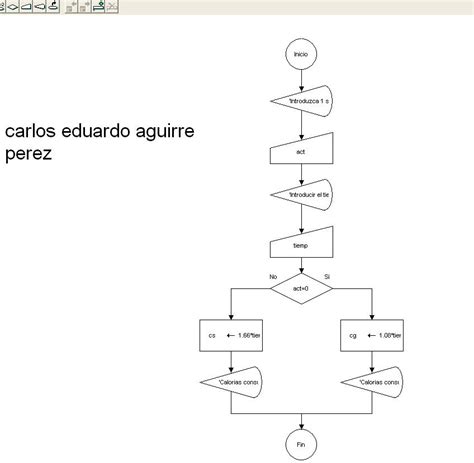 Condicional 2 Estructura Hot Sex Picture