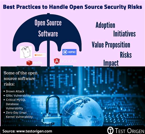 Best Practices To Handle Open Source Security Risks Testorigen