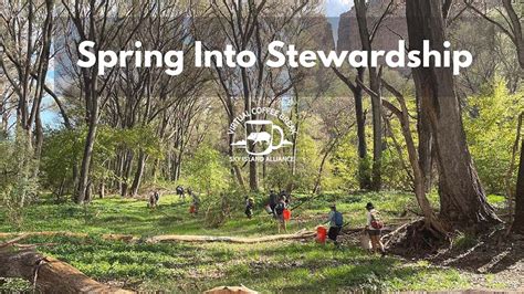 Spring Into Stewardship Youtube