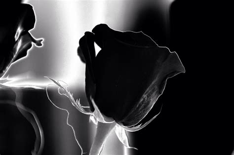 2000 Free Grief And Sad Photos Pixabay