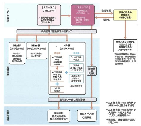 講演3：心不全のパンデミック対策｜第3回健康ハート・シンポジウム「covid 19パンデミックから学ぶ心不全対策」2022年｜公益法人 日本心臓財団