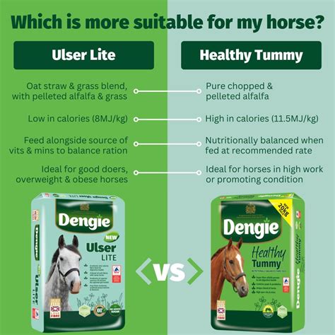 Dengie Healthy Tummy 20kg Chaffs And Fibre Feeds