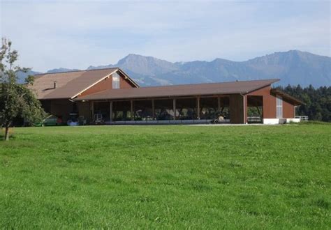 Um Anbau Boxenlaufstall In St Gallenkappel Artho AG