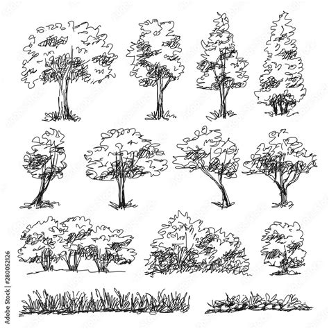 Set Of Hand Drawn Architect Trees Sketch Architectural Illustration