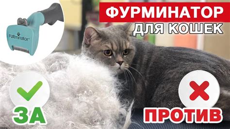 Фурминатор для кошек: какой выбрать, как пользоваться, фото, видео