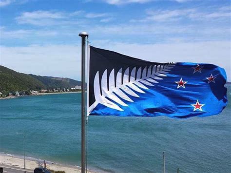 Silver Fern Flag - Press