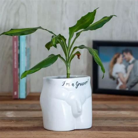 NOVELTY BODY SHAPED Plant Pot I m a Grower Funny Rude Home Décor Xmas