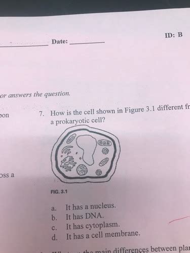 Chapter 3 Mullen Final Study Guide Flashcards Quizlet