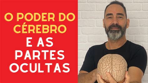 Curiosidade Sobre O CÉrebro O Poder Do CÉrebro Nas DecisÕes Youtube