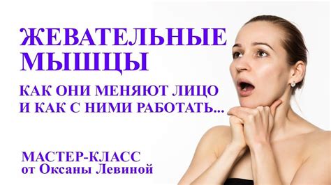 Жевательные мышцы. Как они меняют лицо и как с ними работать ...