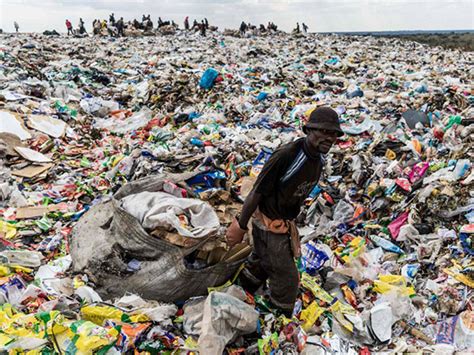 Os Impactos Negativos Do Plástico No Meio Ambiente