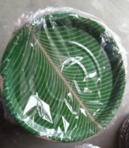 Green Plates Paper Plates at Rs 47/piece in Puttur | ID: 18371123455