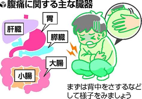 おなかのトラブル（1）「急に始まった腹痛」は重い病気の可能性 ヨミドクター 読売新聞