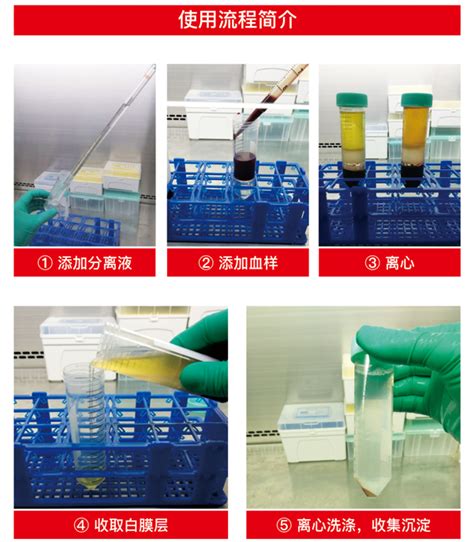 快速分离单个核细胞方法总结 丁香实验