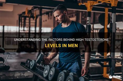 Understanding The Factors Behind High Testosterone Levels In Men Medshun