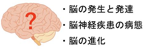 脳の謎にいどむ：脳の働きの理解と病気の克服に向けて