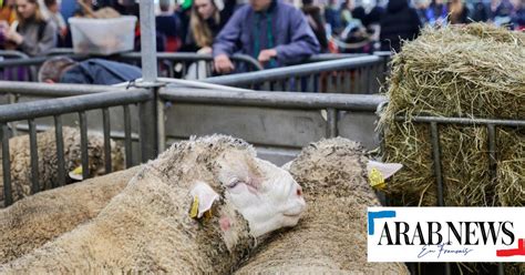 Incidents au salon de l agriculture l exécutif dénonce une minorité