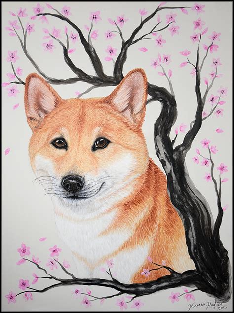 Shiba Inu By Sidonie On Deviantart