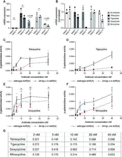 Expression And Induction Of TetA A In Response To Tetracycline