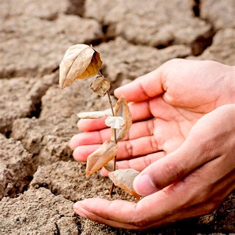 Ministerio De Agricultura Extiende Declaraci N De Emergencia Agr Cola