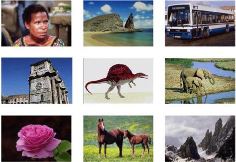 real images  high quality scientific diagram