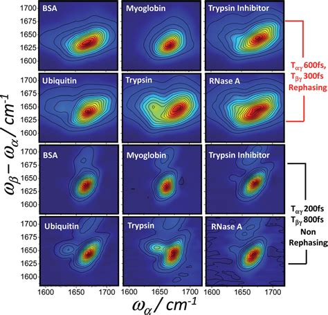 Homodyne Frequency Domain 2D IR Raman Spectra Of 6 Proteins Collected