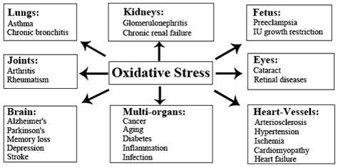 Members Of Antioxidant Machinery And Their Functions Intechopen