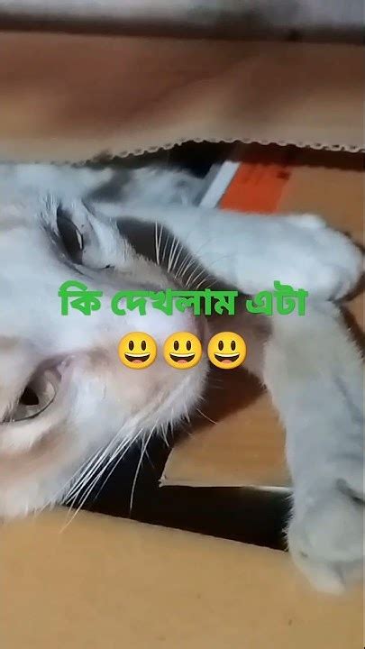 কি দেখলাম এটা 😀😀😀 Youtube