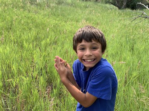 Prairie Ecosystem - Catamount Institute