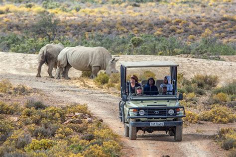 Mont Eco Private Game Reserve Big 5 Safari Near Cape Town