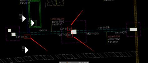 基础梁的原位标注的后面带tz、dz什么意思；另右边的原位标注上下都注明钢筋信息， 服务新干线答疑解惑
