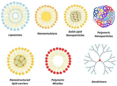 Nanomaterials Free Full Text Advances In Nanocarrier Systems For