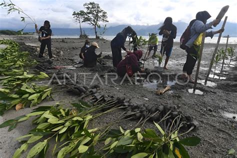 Dinas Lingkungan Hidup Edukasi Siswa Peduli Lingkungan Melalui Sekolah