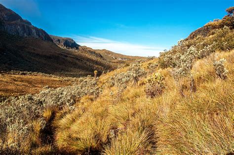 Landscape at Nevado del Ruiz Photograph by Jess Kraft - Fine Art America