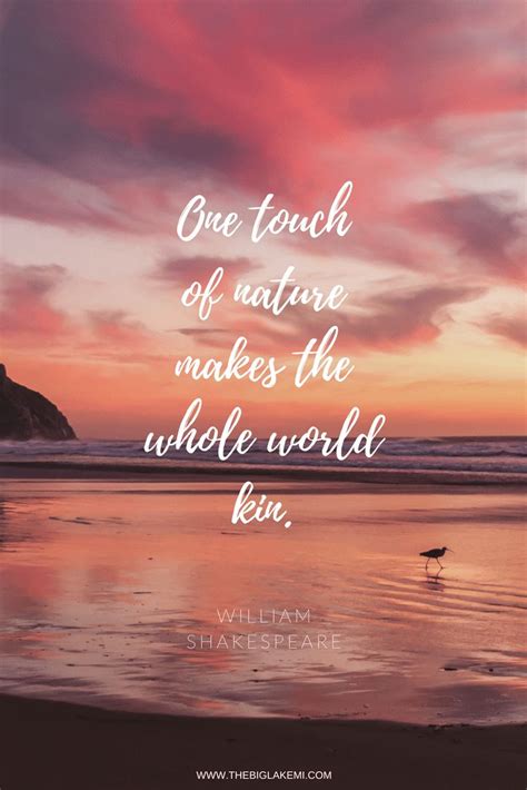 Beautiful Scenes Of Nature With Quotes Teddy Gennifer