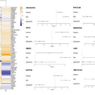 Heatmap representing log2 fold change of the genes significantly ...