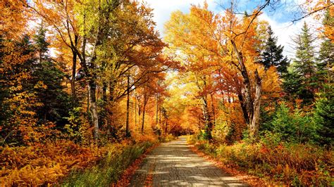 Les Six Plus Beaux Paysages à Voir Cet Automne Au Québec Huffpost