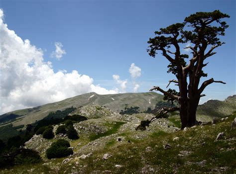 Parco Nazionale Del Pollino L Area Protetta