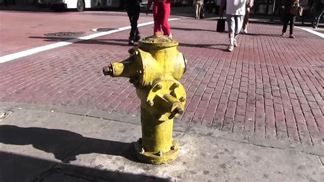 Free Real BDSM Porn Videos XHamster