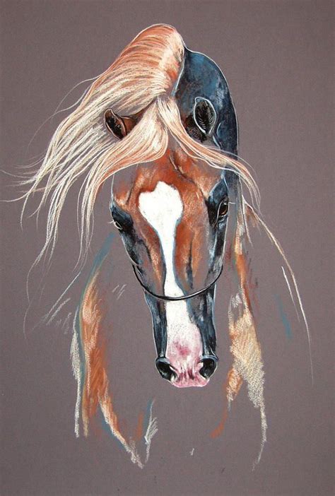 Palomino Arabian Horse Mixed Media by Paulina Stasikowska Horse Art Drawing, Horse Sketch, Horse ...