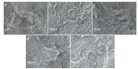 Polyolefin Functionalized Graphene Oxide And Its GO HDPE Nanocomposite