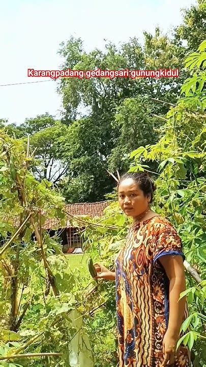 Kehidupan Didesa Panen Sayur Ceme Gunungkidul Viral Sayuran Youtube