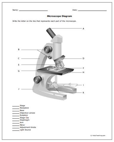 Activity Worksheet About Microscope