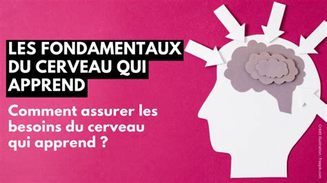 Les Fondamentaux Du Cerveau Qui Apprend Comment Assurer Les Besoins