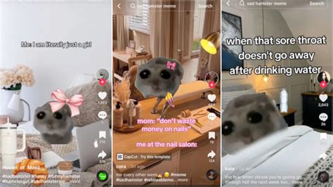 Tiktok Sad Hamster Explained The Mary Sue