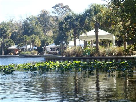 BlogWild - Kayaking Wekiva Springs to Wekiva Island