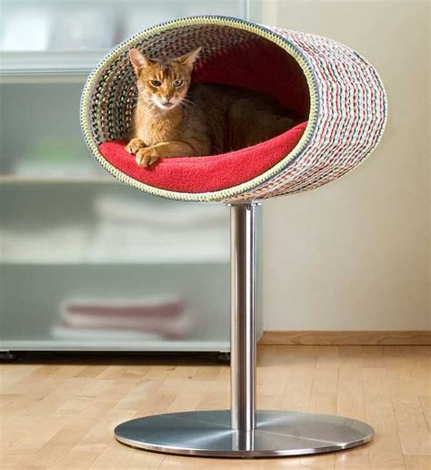 20 Best Luxury Cat Beds You Can Buy Online In 2023