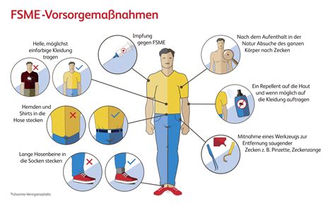 Vorsorgema Nahmen Gegen Zecken Und Fsme