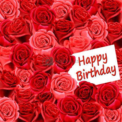 Happy Birthday On Wallpaper Of Red Roses Royalty Free Stock Image