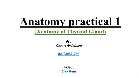 Anatomy (anatomy of thyroid gland) | PPT